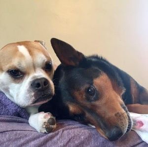 Meet your Posher, Cindy